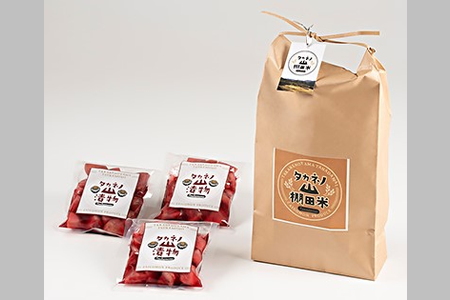 【期間限定・令和7年産米】新潟県村上市岩船産 棚田米コシヒカリ5kg・赤カブ漬け900gセット　B4036 