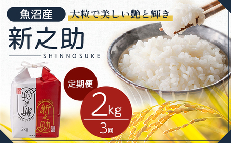令和7年産 定期便 魚沼産 新之助 精米2kg×3回 お米 こめ コメ 