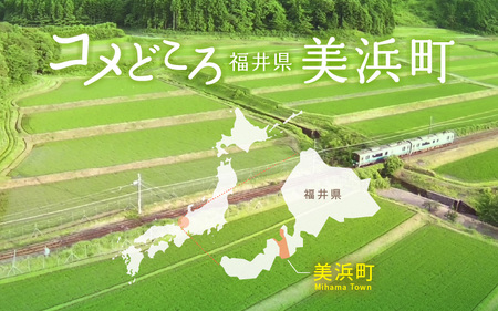令和6年産 美浜町太田産「コシヒカリ」 白米 10kg [m70-b001]