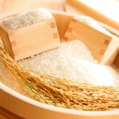 ふるさと納税 近江八幡市 【令和8年産】大粒で食べ応えあり「にじのきらめき」白米30kg　 |  | 01