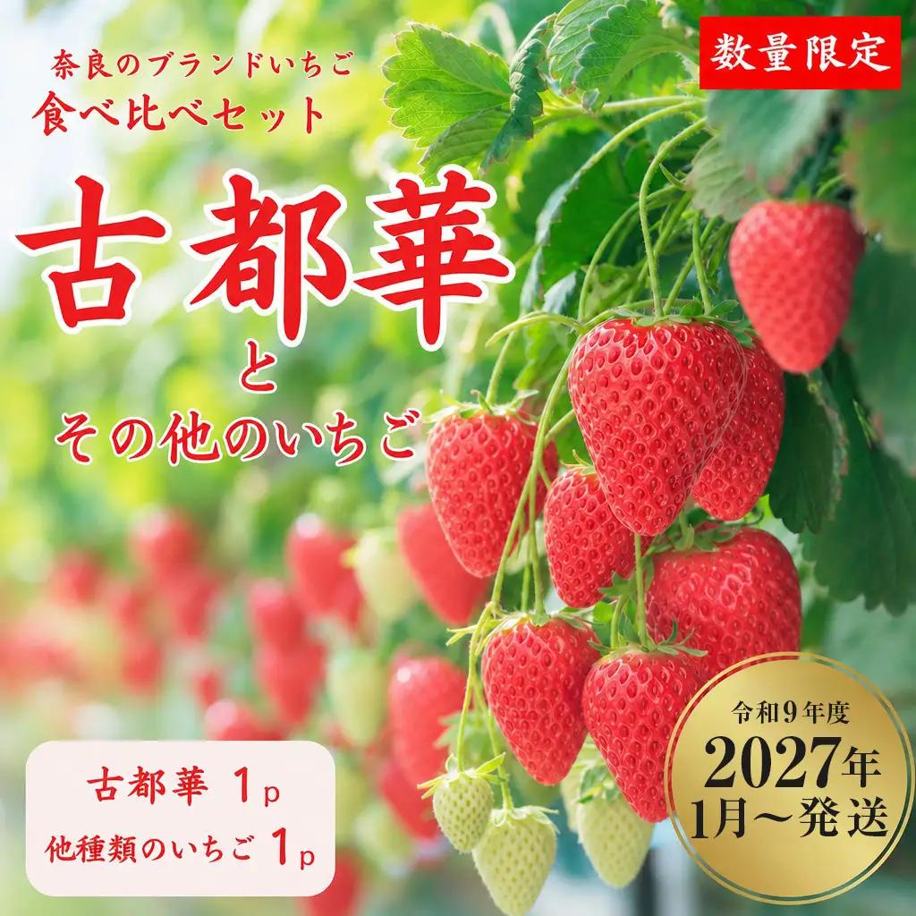 【2027年（令和9年）1月～発送】奈良のブランドいちご２種（古都華と他１種）食べくらべセット (他１種は、かおりの・珠姫・奈乃華・ならあかり・あすかルビーからいずれか) いちご 苺 イチゴ 奈良県認証 めいとく農園