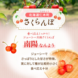 先行予約 大塚農園 さくらんぼ【 南陽 】800g（200g×4）サクランボ フルーツ