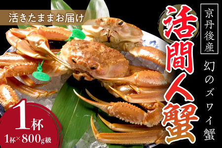 カニ ズワイガニ ／【幻のズワイ蟹】京丹後産 活間人蟹 鮮度抜群、活きたままお届け！！ 800g級×1杯 カニ 蟹 ズワイガニ ズワイ蟹 ブランド蟹 間人蟹 間人ガニ 活き間人ガニ 活間人蟹 カニ味噌 蟹味噌タグ付き