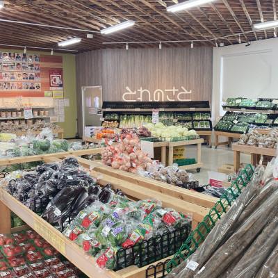 ふるさと納税 石狩市 令和7年産　無洗米ななつぼし精米 5kg×3袋(合計15kg) |  | 01