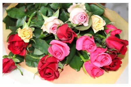 バラ 【約15本×6カ月定期便】生産者直送 有機栽培で育った朝切りバラの花束