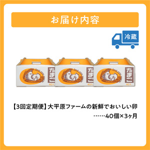 【3回定期便】大平原ファームの新鮮でおいしい卵 計40個(赤卵)×3ヶ月【北海道 清水 卵 120個 赤卵 こだわり卵 赤卵 卵かけご飯 玉子 タマゴ 卵焼き TKG 温泉卵 オムレツ ゆでたまご 栄