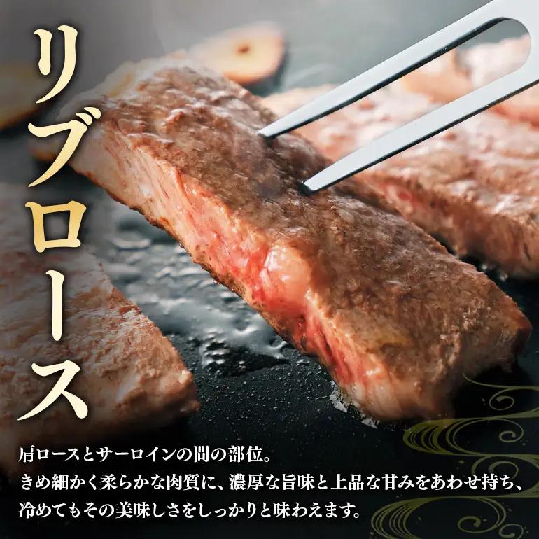 飛騨牛 A5～4等級 スペシャルセットC (A01-023)