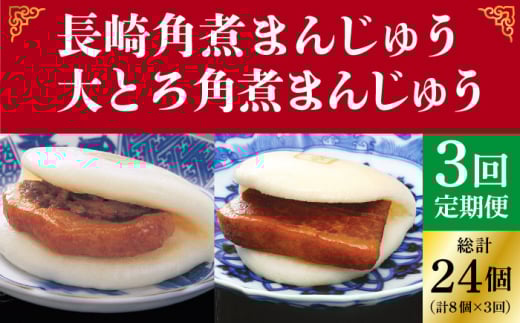 【全3回定期便】＜月替り！＞角煮まんじゅう 2種 お楽しみセット （角煮まんじゅう8個・大とろ角煮まんじゅう8個）≪小値賀町≫ 【株式会社岩崎食品】 [DBG067]