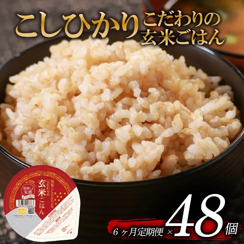 【パックご飯】 定期便6回 玄米 国産こしひかり 無添加一分づき 120g 計48個 パックご飯