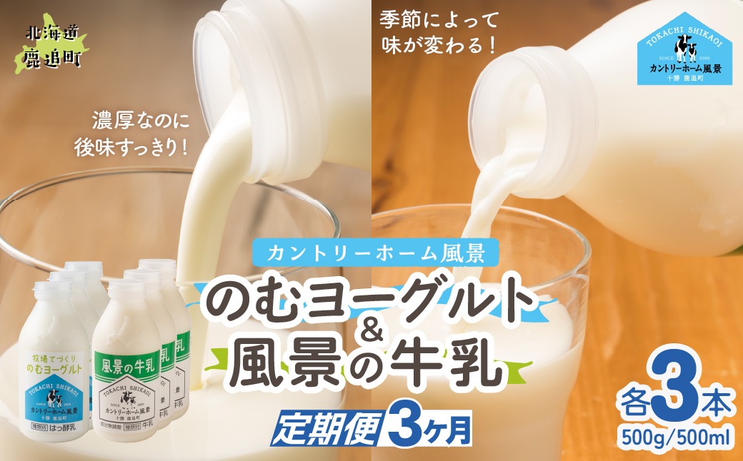 【定期3ヶ月】のむヨーグルト500g 風景の牛乳500ml 各3本 SKB108