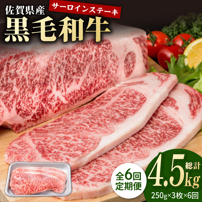 【6回定期便】佐賀県産 黒毛和牛 贅沢 サーロインステーキ 250g×3枚（計750g）【株式会社いろは精肉店】/黒毛和牛 和牛 牛肉 肉 お肉 贅沢 高級 ステーキ サーロイン[IAG091]