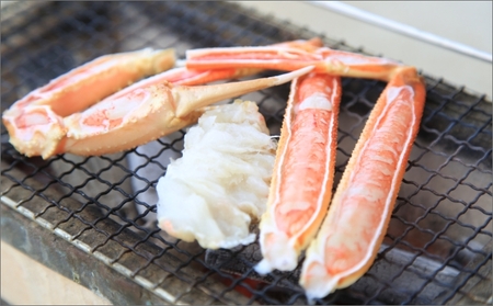 【特選】ズワイガニ焼きガニ用加工済（昆布付き）