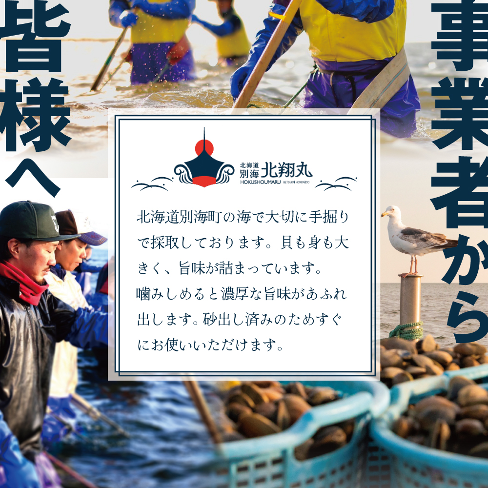 北海道　道東産 アサリ中 6kg (冷凍)　約 300g ×20 袋【計約6kg】【SS0000018】_イメージ5