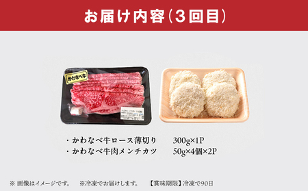 【全3回】かわなべ牛バラエティー定期便 023-25