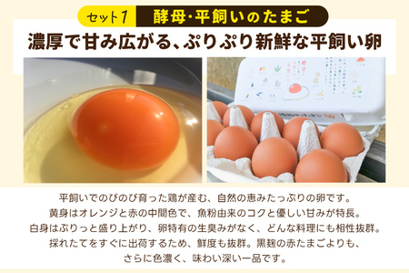 ＼薄羽養鶏場の濃厚たまごを使用／ たまごセット 濃厚たまご＆絶品加工品 6点セット｜栃木県 益子町 たまご 卵 タマゴ 平飼い 酵母平飼い 人気 濃厚 食べチョク カレー チキンカレー プリン とろた