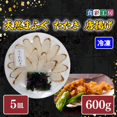 ふるさと納税 下関市 天然ふぐたたき刺身5人前・ふぐ唐揚600g 下関 山口 《食彩工房:HK9003》