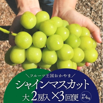 
            ＜発送月固定定期便＞＜きよとうファーム＞シャインマスカットを楽しむ満足便!/全便計3.9kg～全3回_シャインマスカット 定期便 ぶどう 葡萄 ブドウ 果物 くだもの フルーツ 岡山県 津山市 産直 産地直送 ギフト 送料無料【4065362】
          
