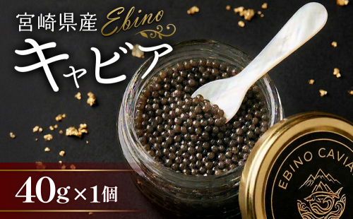 【ふるさと納税】キャビア 国産 40g 冷蔵 宮崎県 えびの市産