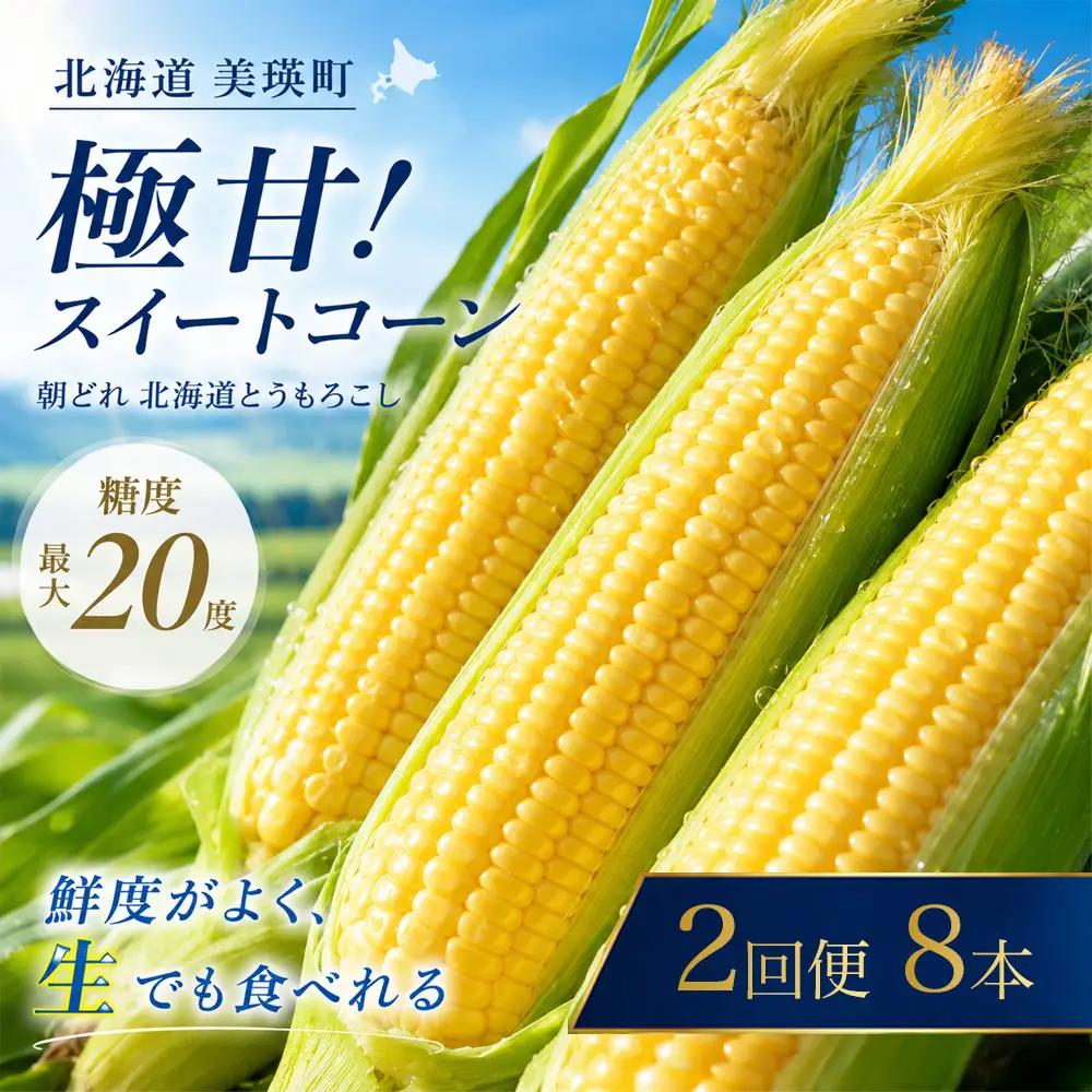 とうもろこし ほしつぶコーン 8本 定期便 2回【令和８年産予約受付】 とうもろこし 北海道