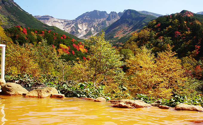 湯元凌雲閣【ランチ付】日帰りペア入浴券 チケット 温泉利用券 ２名分 