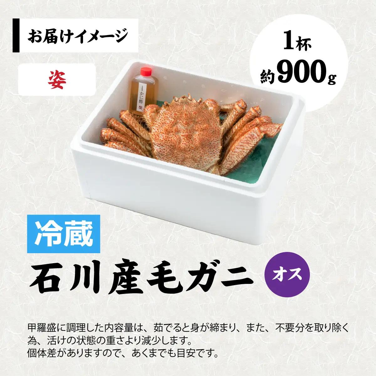 【姿】【成前特選】美味しさ直送！北陸産毛ガニ900ｇ前後×1杯（オス） [F-028009_01] / 毛ガニ