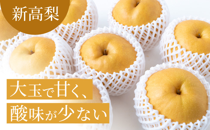 新高梨 6～10玉 （約5kg）