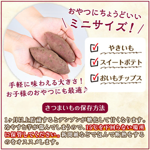 さつまいも 紅はるか 10kg サツマイモ ミニサイズ 有機【そのやま農園】_y329-B
