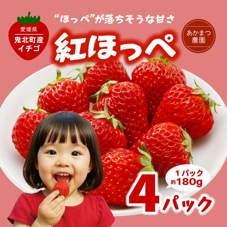 【ふるさと納税】【2026年春収穫分】【先行予約】紅ほっぺ 4パック（約720g） | いちご イチゴ 苺 大福 ジャム タルト アイス ケーキ ギフト あかまつ農園 ※離島への配送不可 ※2026年2月中旬頃より順次発送予定