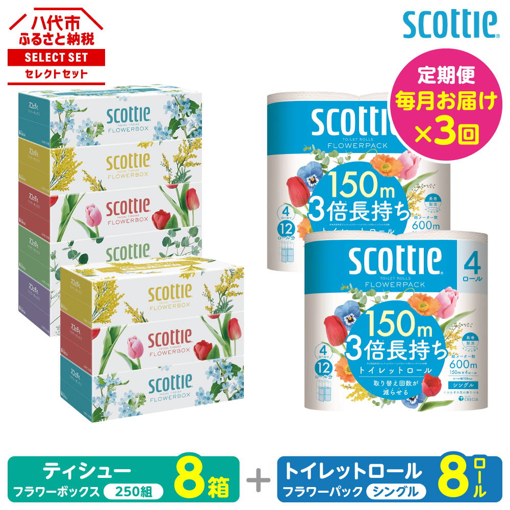 【定期便3回】【毎月お届け】【スコッティ】 組み合わせ ティシュー フラワーボックス 250組 8箱 計24箱 トイレットロール シングル フラワーパック 3倍長持ち 8ロール 計24ロール 日用品