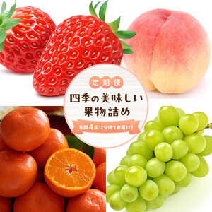 ＜定期便＞四季の美味しい果物詰め　年間４回に分けてお届け！