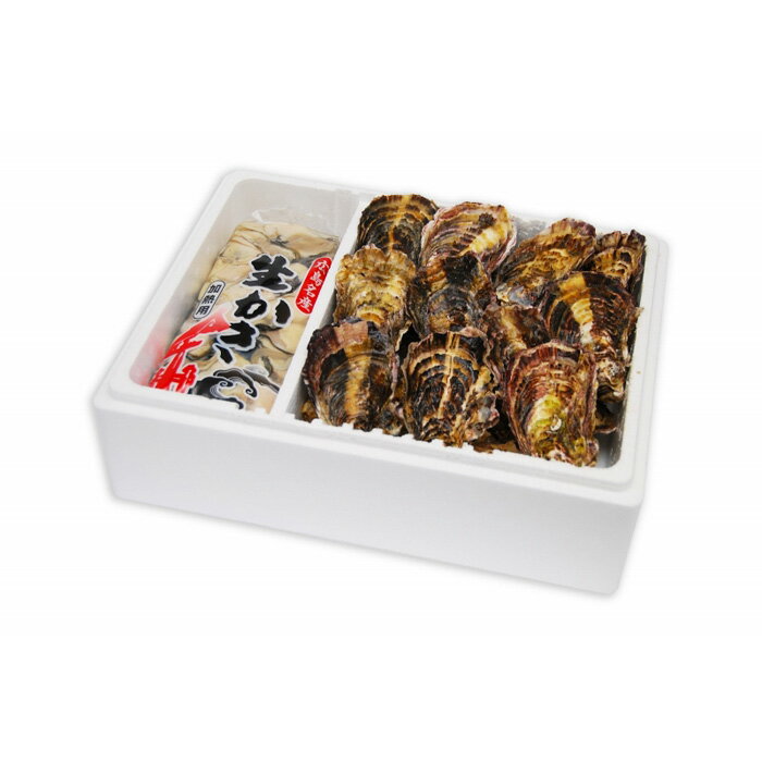 【ふるさと納税】★北海道・沖縄配送不可★【ギフト用】むき身1kgと殻付き牡蠣Lサイズ20個セット《加熱用》 | 広島かき 広島牡蠣 かき 新鮮 旬 おすすめ 人気 広島県 宮島 廿日市市