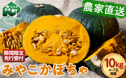 【先行予約】 みやこかぼちゃ 約10kg 北海道森町産 （令和7年7月下旬～8月上旬順次配送） <こうのファーム> カボチャ 南瓜 野菜 根菜 煮物 食材 スープ サラダ かぼちゃプリン 天ぷら 北海道 森町 ふるさと納税 mr1-0461