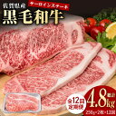 【ふるさと納税】【12回定期便】佐賀県産 黒毛和牛 贅沢 サーロイン ステーキ 200g×2枚（計400g）【株式会社いろは精肉店】お肉 肉 牛肉 冷凍 和牛 [IAG101]