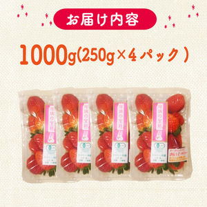 植物系有機肥料のいちご 瑠璃の宝箱 計1kg(250g×4P)《2026年2月～5月発送》 先行受付 いちご いちご いちご