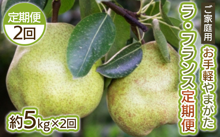 
                  【定期便2回】お手軽 ご家庭用 やまがたラ・フランス 5kg×2回【令和8年産先行予約】FS25-751
                