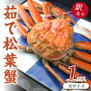 【ふるさと納税】【 訳あり 】日本海産 ブランド蟹　茹で松葉蟹 【訳あり】大サイズ　matubakani900 1匹入り ズワイガニ 松葉ガニ 900g 国産 カニ かに 蟹 松葉ガニ 訳あり ボイル 茹で松葉蟹 高級 自宅用 天然 冬の味覚 冷蔵 まるごと 京都 丹後 送料無料