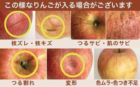 【2027年3月～2027年4月配送】先行受付［訳あり］旬のりんご 約3kg 6～14玉 ［小布施屋］ 令和9年産 傷 規格外 不揃い 訳アリ 家庭用 りんご 林檎 リンゴ 果物 フルーツ 長野県産 