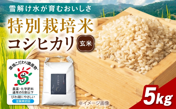 
                  特別栽培米コシヒカリ5kg 玄米 滋賀県長浜市/くさおか農園 [AQEB005]
                