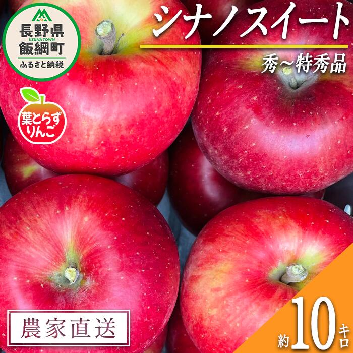 【ふるさと納税】 りんご 葉とらず シナノスイート 秀 〜 特秀 10kg フレッシュフルーツミカズキ 令和7年度収穫分 長野県 飯綱町 〔 信州 果物 フルーツ リンゴ 林檎 長野 予約 農家直送 〕発送時期：2025年10月中旬頃〜2025年10月下旬頃 {***}
