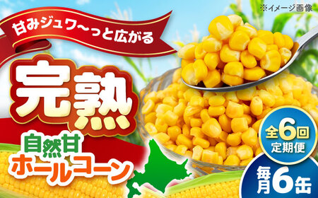 【全6回定期便】自然甘 ホールコーン 6缶【きもべつ観光協会】 缶詰 瓶詰 加工品 とうもろこし 北海道 常温配送 [AJAG033]