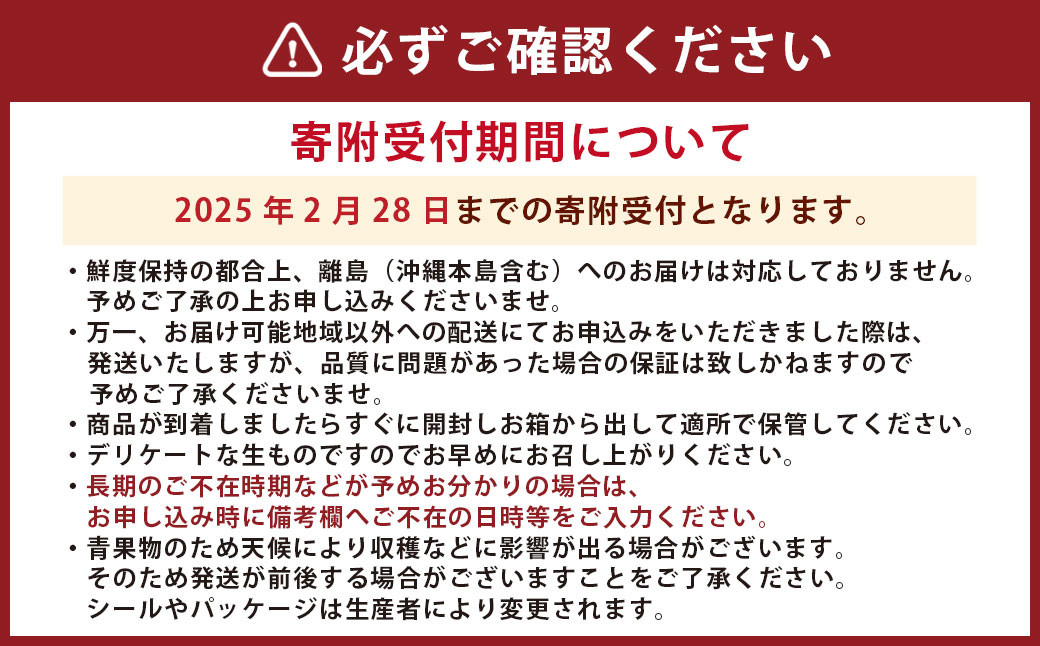 熊本県産 高級 塩トマト「綾」1キロ前後