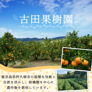 <先行予約受付中!2026年5月下旬以降順次発送予定>訳あり!じゃがいも「メークイン」(約5kg) じゃがいも ジャガイモ 芋 国産 野菜 期間限定 数量限定【古田果樹園】akn093-01