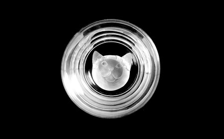 ロックグラス ネコ[２個セット]