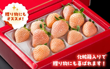 【先行予約】【農家直送】ほんのりピンクな白いちご希少「淡雪」（化粧箱入り400g）【岸川農園】 [IAP004]