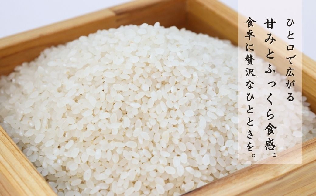 【農家直送】【新米】出雲崎町産コシヒカリ（５kg）直播栽培 お米 新潟県産コシヒカリ