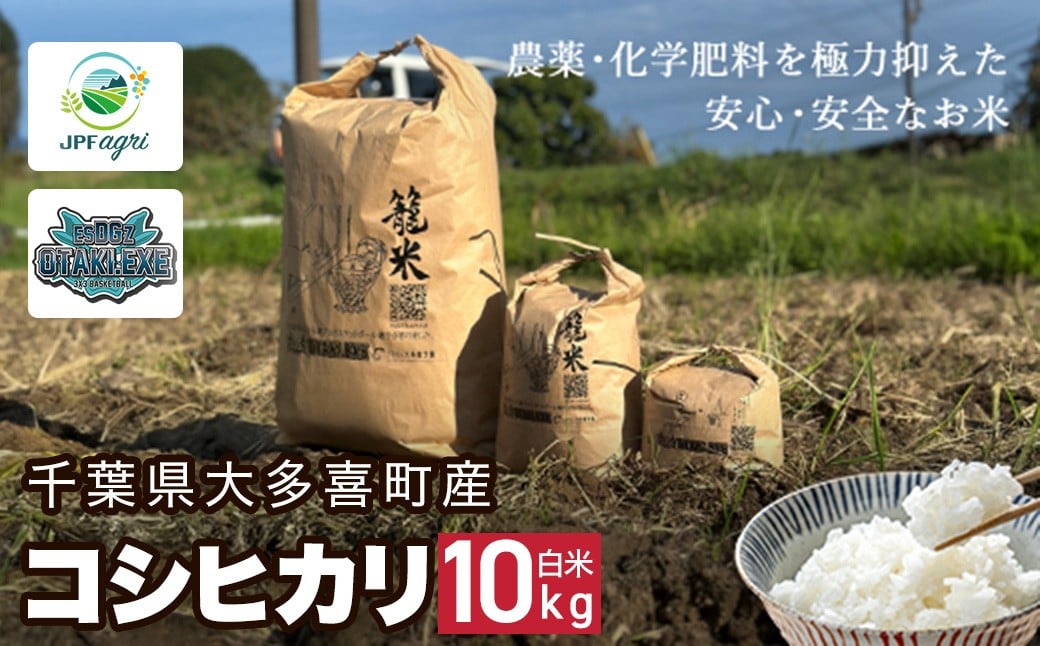 
            J03201　令和７年産 コシヒカリ10kg（白米） / 米 こめ コメ 白米 精米 こしひかり コシヒカリ 籠米 バスケットボール esDGs OTAKI.EXE 大多喜町 千葉県
          