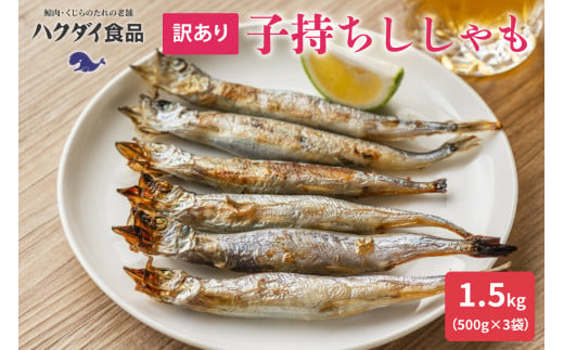 【訳あり】子持ちシシャモ 1.5kg（500g×3袋） mi0012-0116