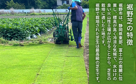 裾野芝（野芝）20ロール（20m2）単位　芝 芝生 ガーデニング DIY 庭 天然 天然芝 最高級 裾野市 静岡県