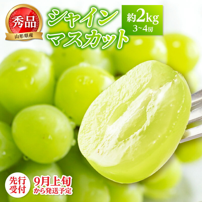 【ふるさと納税】《先行受付》★シャインマスカット★ 約2kg（3～4房）秀品【2025年9月上旬頃～発送予定】 ふるさと納税 山形県 大江町 シャインマスカット ぶどう フルーツ デザート 秀品 レビューキャンペーン