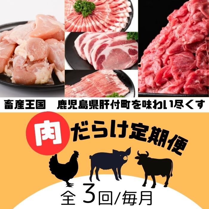 【E90001】＜定期便・全3回＞肝付町セレクト定期便《肉だらけ定期便A》